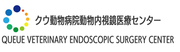 クウ動物病院動物内視鏡医療センター