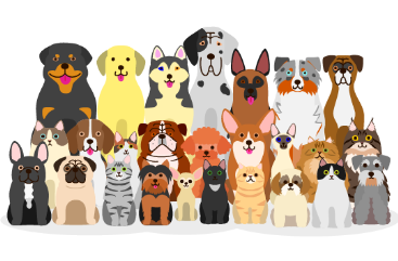 犬と猫のイラスト