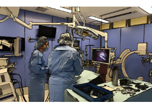 犬の腹腔鏡下避妊手術の体腔内